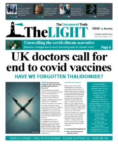 Issue 29 - January 2023
