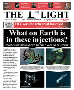 Issue 27 - November 2022
