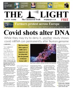 Issue 24 - August 2022
