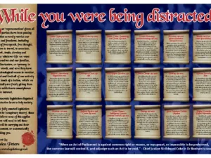 The Light 40 Centre Spread