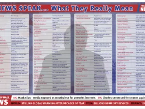 The Light 35 Centre Spread - News Speak - what they really mean