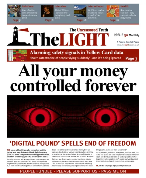 The Light Issue 30 - February 2023