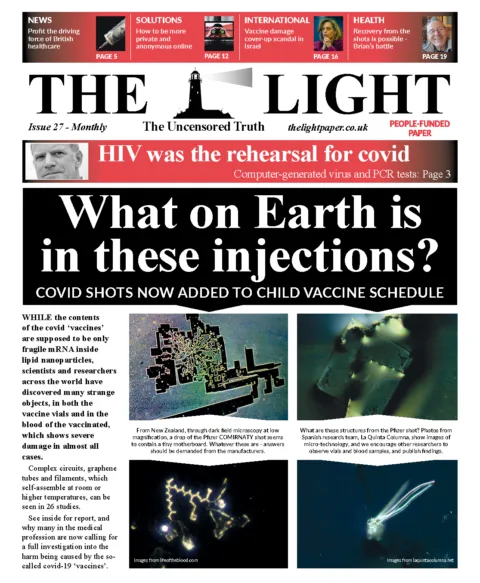 The Light Issue 27 - November 2022