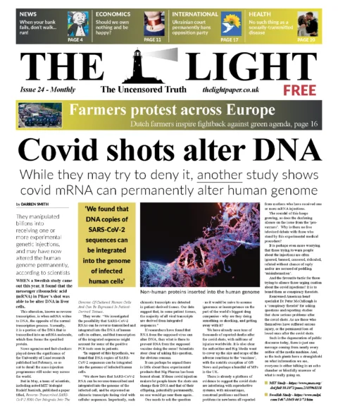 The Light Issue 24 - August 2022