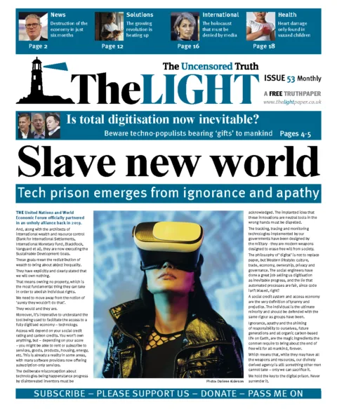 The Light Issue 53 - January 2025